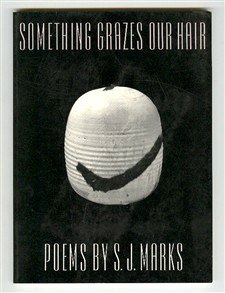 9780252061813: SOMETHING GRAZES OUR HAIR: Poems