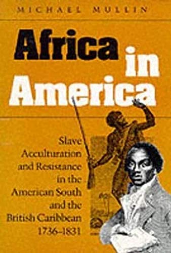 Beispielbild fr Africa in America : Slave Acculturation and Resistance in the American South and the British Caribbean, 1736-1831 zum Verkauf von Better World Books