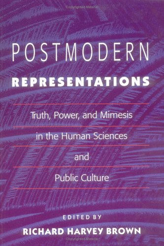 Beispielbild fr Postmodern Representations: Truth, Power, and Mimesis in the Human Sciences and Public Culture zum Verkauf von Wonder Book