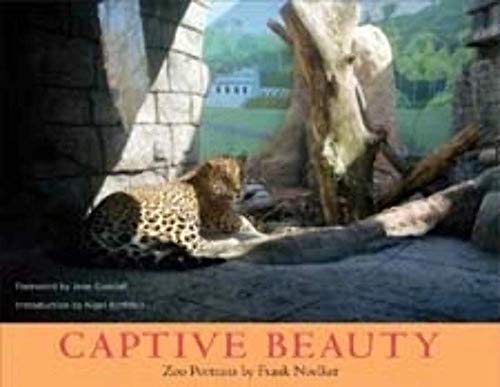 Imagen de archivo de Captive Beauty a la venta por Irish Booksellers