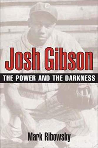 Stock image for Josh Gibson The Power & the Darkness for sale by Harry Alter