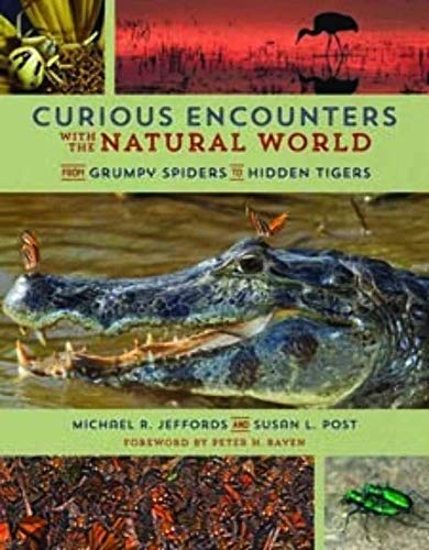 Beispielbild fr Curious Encounters with the Natural World : From Grumpy Spiders to Hidden Tigers zum Verkauf von Better World Books