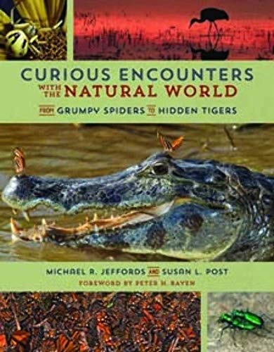 Stock image for Curious Encounters with the Natural World : From Grumpy Spiders to Hidden Tigers for sale by Better World Books