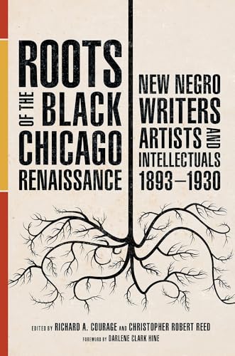 9780252084928: Roots of the Black Chicago Renaissance: New Negro Writers, Artists, and Intellectuals, 1893-1930 (New Black Studies Series)