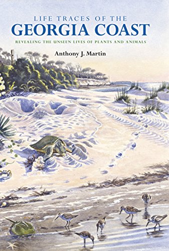 Life Traces of the Georgia Coast: Revealing the Unseen Lives of Plants and Animals (Life of the P...