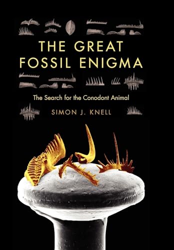 Stock image for The Great Fossil Enigma: The Search for the Conodont Animal (Life of the Past) for sale by HPB-Emerald