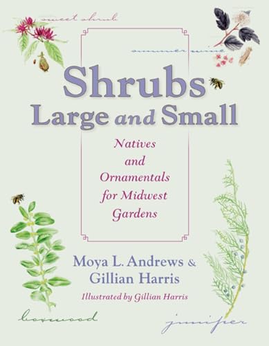 Imagen de archivo de Shrubs Large and Small: Natives and Ornamentals for Midwest Gardens a la venta por Wonder Book