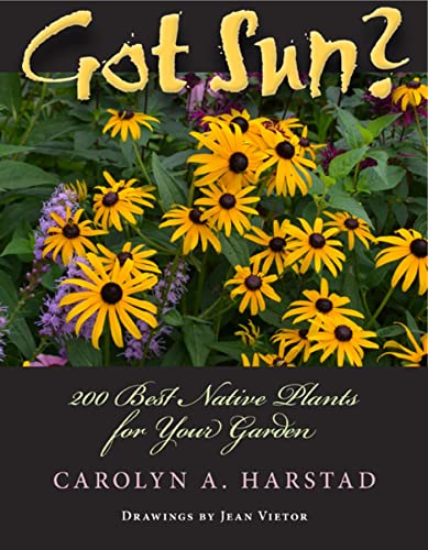 Beispielbild fr Got Sun?: 200 Best Native Plants for Your Garden zum Verkauf von Powell's Bookstores Chicago, ABAA