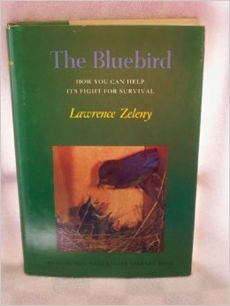 The bluebird: How you can help its fight for survival (The Audubon naturalist library)