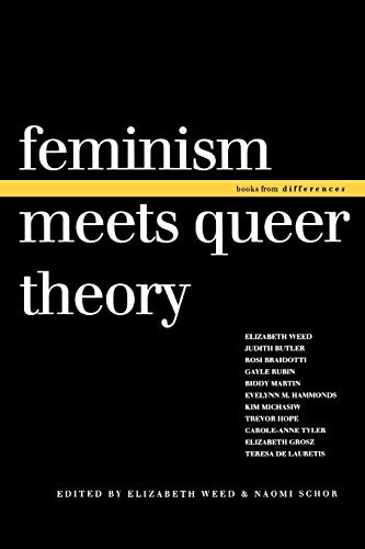 Imagen de archivo de Feminism Meets Queer Theory (Books from Differences) a la venta por Dunaway Books