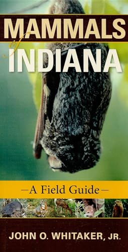 Stock image for Mammals of Indiana: A Field Guide (Indiana Natural Science) for sale by Midtown Scholar Bookstore