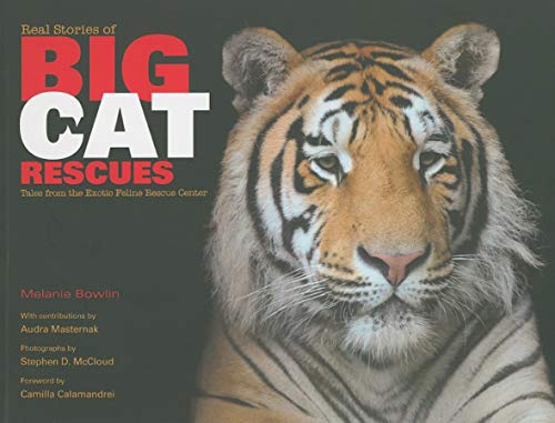 Stock image for Real Stories of Big Cat Rescues: Tales from the Exotic Feline Rescue Center for sale by Discover Books