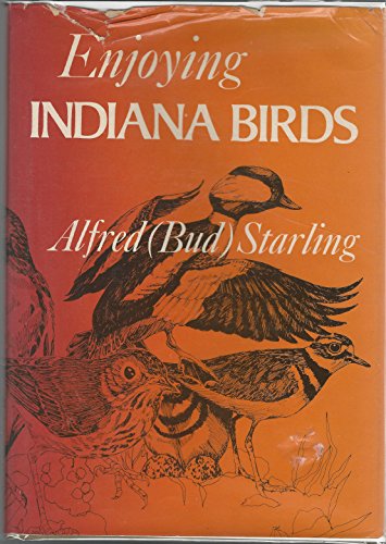 Enjoying Indiana Birds