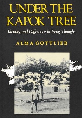 Imagen de archivo de UNDER THE KAPOK TREE: IDENTITY AND DIFFERENCE IN BENG THOUGHT a la venta por The Warm Springs Book Company