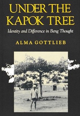 9780253326072: Under the Kapok Tree: Identity and Difference in Beng Thought (African Systems of Thought)