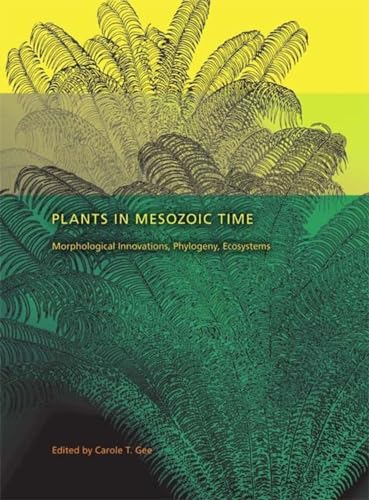 9780253354563: Plants in Mesozoic Time: Morphological Innovations, Phylogeny, Ecosystems