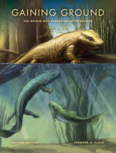 Imagen de archivo de Gaining Ground, Second Edition: The Origin and Evolution of Tetrapods (Life of the Past) a la venta por Phatpocket Limited