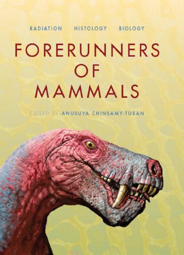 Forerunners of Mammals: Radiation â€¢ Histology â€¢ Biology (Life of the Past) - Chinsamy-Turan, Anusuya