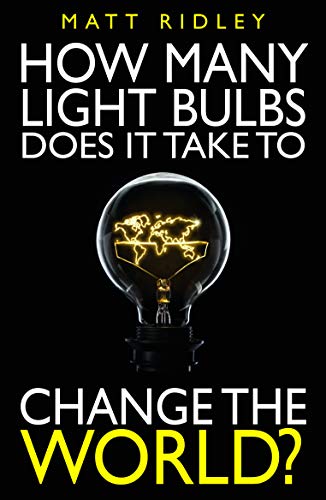 Beispielbild fr How Many Light Bulbs Does It Take to Change the World? zum Verkauf von WorldofBooks