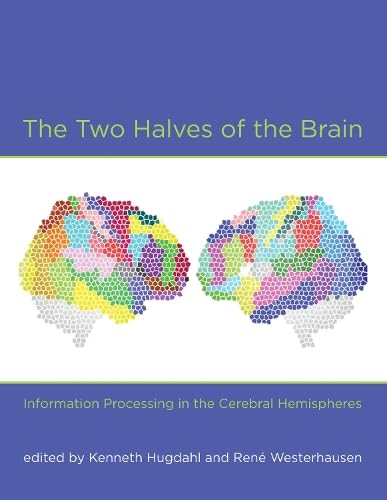 Imagen de archivo de The Two Halves of the Brain: Information Processing in the Cerebral Hemispheres a la venta por ThriftBooks-Dallas
