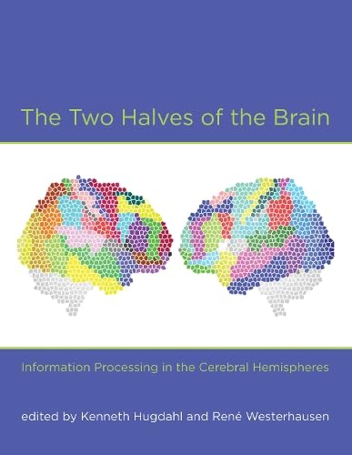 Stock image for The Two Halves of the Brain: Information Processing in the Cerebral Hemispheres for sale by ThriftBooks-Dallas