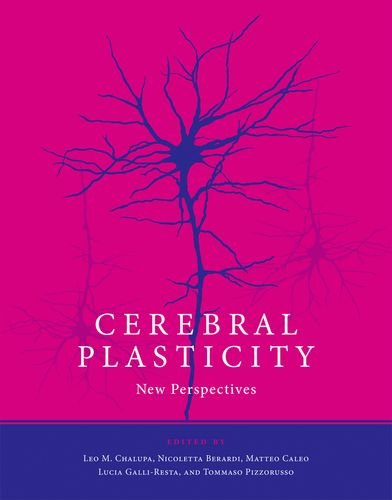 Beispielbild fr Cerebral Plasticity: New Perspectives (Mit Press) zum Verkauf von Bellwetherbooks