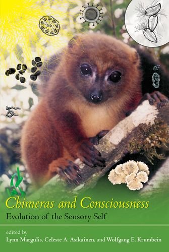 9780262015394: Chimeras and Consciousness: Evolution of the Sensory Self