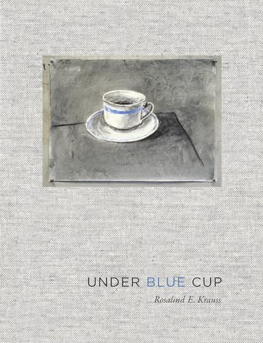 9780262016131: Under Blue Cup