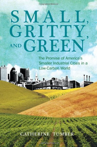 Imagen de archivo de Small, Gritty, and Green: The Promise of America's Smaller Industrial Cities in a Low-Carbon World (Urban and Industrial Environments) a la venta por Indiana Book Company