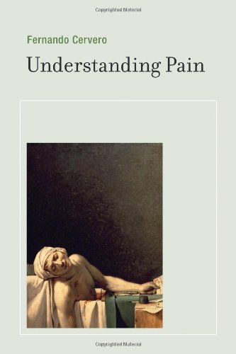 9780262018043: Understanding Pain: Exploring the Perception of Pain