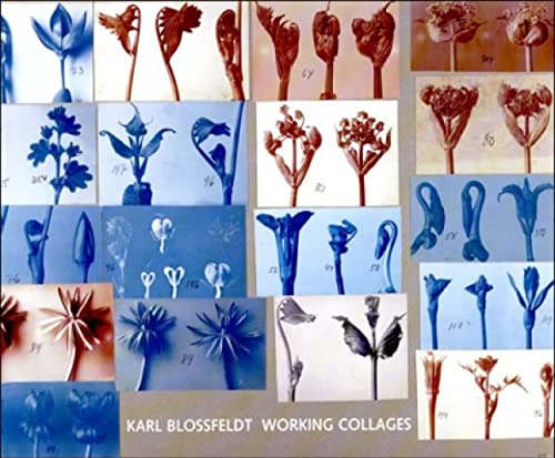 Imagen de archivo de Karl Blossfeldt: Working Collages a la venta por Housing Works Online Bookstore