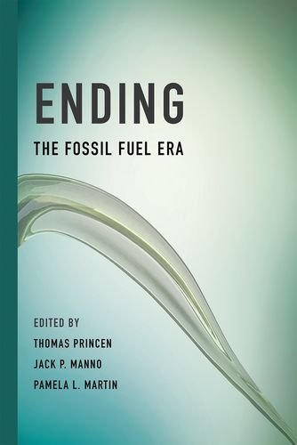 Stock image for Ending the Fossil Fuel Era for sale by dsmbooks