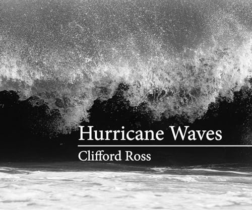 Beispielbild fr Hurricane Waves (Mit Press) zum Verkauf von Bellwetherbooks