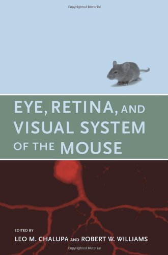 9780262033817: Eye, Retina and Visual System of the Mouse