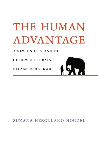 Stock image for The Human Advantage : A New Understanding of How Our Brain Became Remarkable for sale by Better World Books