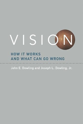 Imagen de archivo de Vision : How It Works and What Can Go Wrong a la venta por Better World Books