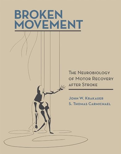 9780262037228: Broken Movement: The Neurobiology of Motor Recovery after Stroke