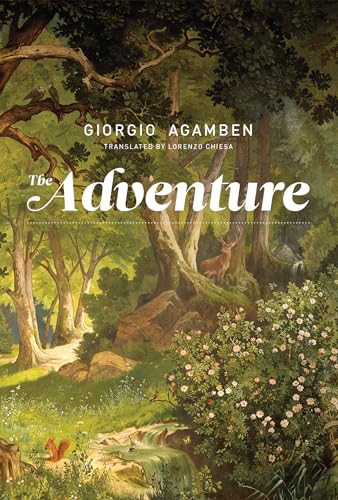 Stock image for The Adventure (Mit Press) for sale by Zoom Books Company
