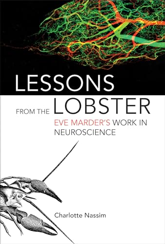 Lessons from the Lobster Eve Marders Work in Neuroscience The MIT Press