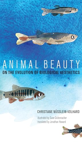 Imagen de archivo de Animal Beauty : On the Evolution of Biological Aesthetics a la venta por Better World Books