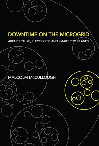 Imagen de archivo de Downtime on the Microgrid: Architecture, Electricity, and Smart City Islands (Infrastructures) a la venta por Bellwetherbooks