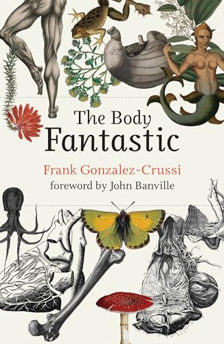 Imagen de archivo de The Body Fantastic a la venta por Bellwetherbooks