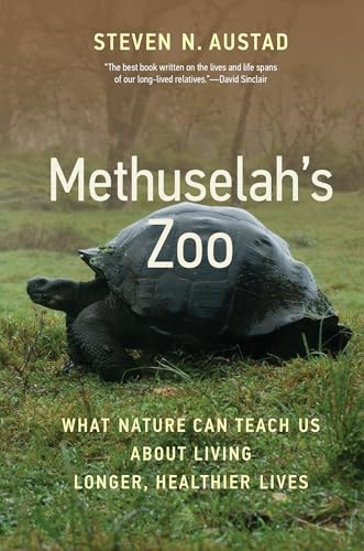 Stock image for Methuselah's Zoo: What Nature Can Teach Us about Living Longer, Healthier Lives for sale by Bellwetherbooks