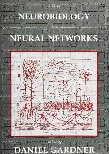 Stock image for Neurobiology of Neural Networks (Computational Neuroscience) for sale by P.C. Schmidt, Bookseller