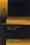 Beispielbild fr Econometrics - Economic Growth in the Information Age zum Verkauf von Ammareal