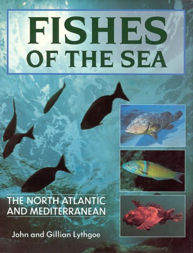 Stock image for Fishes of the Sea : The North Atlantic and Mediterranean for sale by Better World Books