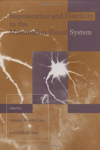 Imagen de archivo de Regeneration and Plasticity in the Mammalian Visual System: Proceedings of the Retina Research Foundation Symposia (Volume 4) a la venta por Bellwetherbooks