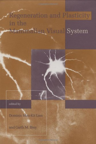 

Regeneration and Plasticity in the Mammalian Visual System: Proceedings of the Retina Research Foundation Symposia (Volume 4)