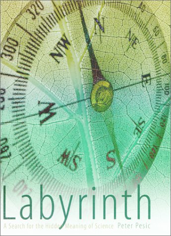 Imagen de archivo de Labyrinth: A Search for the Hidden Meaning of Science a la venta por Books of the Smoky Mountains