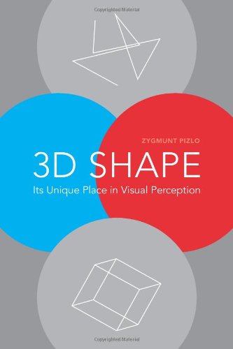 Stock image for 3D Shape: Its Unique Place in Visual Perception (MIT Press) for sale by HPB-Red